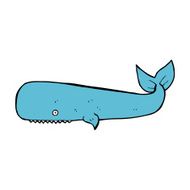 Cartoon Whale N76