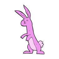 Cartoon Rabbit N120