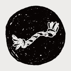 doodle dog rope bone N8