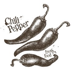 chili pepper vector logo design template fresh vegetables food or