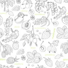 Vector seamless pattern with berries on a white background N2