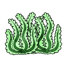 Cartoon Seaweed N53