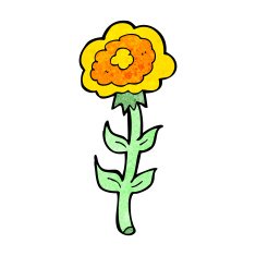Cartoon Rose N16