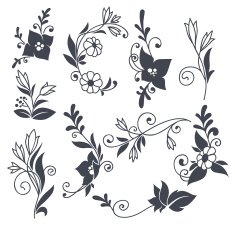 vector floral elements in naive hand drown style N2