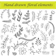 Hand drawn floral set
