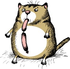 funny cat kept in the mouth of sausages