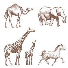collection of picture pencil with animals