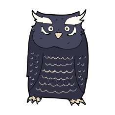 Cartoon Owl N121