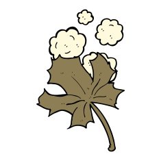 cartoon old leaf N4