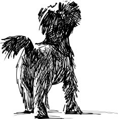Terrier sketch free image download