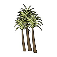 Cartoon Palm Tree N71