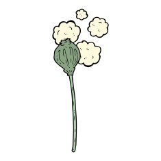 cartoon dried poppy N23