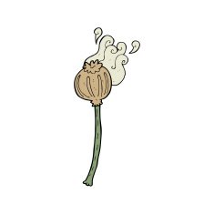 cartoon dried poppy N24