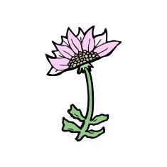 cartoon flower N353