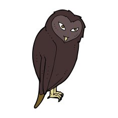 Cartoon Owl N125