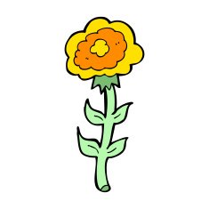 Cartoon Rose N17