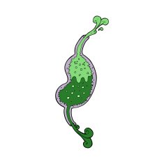 cartoon bubbling stomach N8