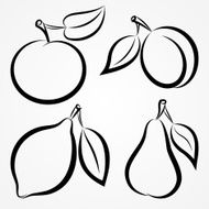 Vector abstract hand-drawn silhouettes of fruits N3