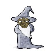 Cartoon Wizard N55