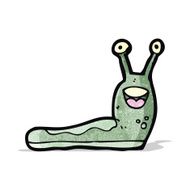 cartoon slug N16