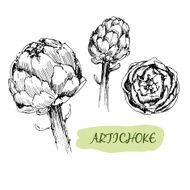 Artichoke N2