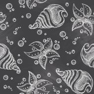 seashell and starfish