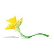 cartoon daffodil flower N8