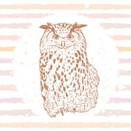 owl sketch