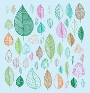 leaves doodles set Vector hand drawn illustration N5