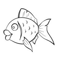 Goldfish N4