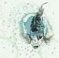 sketch of a fish N4