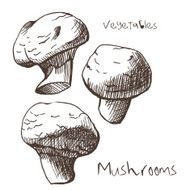 Mushrooms N6