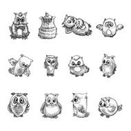 Set of owl N2