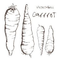 Carrot N3