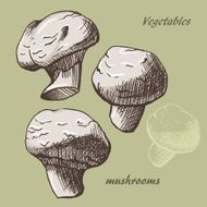 Mushrooms colour