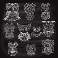 chalk drawn owls on blackboard