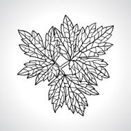 Stylized detail silhouette of leaf isolated on background N2