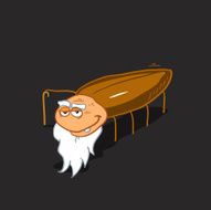 OLD COCKROACH