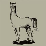 Horse N21