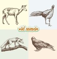 Wild Animals N10