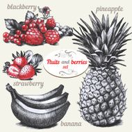 Fruits and berries