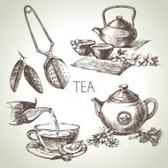 Hand drawn sketch vector tea set N16