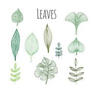 Leaves N3