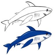 shark cartoon