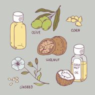 Healthy oil set Coconut walnut olive corn and linseed