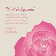 Set of Trendy cards N44