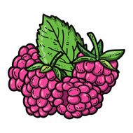 cute raspberries N4