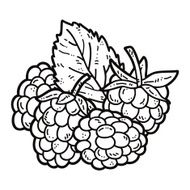 cute Raspberry N2