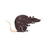 cartoon black rat N8