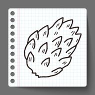 Custard apple doodle N11